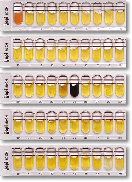 API®/ID32 | bioMérieux